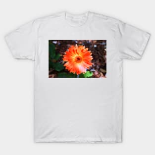 Orange Daisy T-Shirt